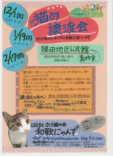 猫の譲渡会.jpg