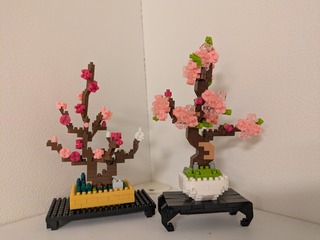 PXL_20250331_135621412.jpg